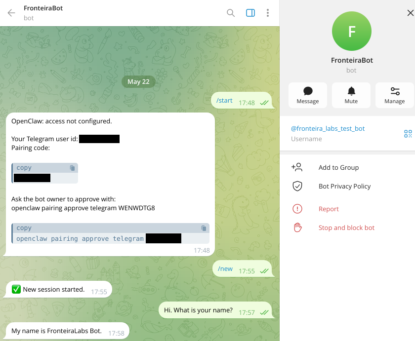 Após o pareamento, o agente já responde pelo Telegram. O comando /new inicia uma sessão limpa. A instalação está concluída e o agente está operacional.